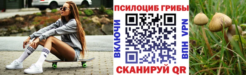 дарнет шоп  Волосово  Псилоцибиновые грибы прущие грибы 